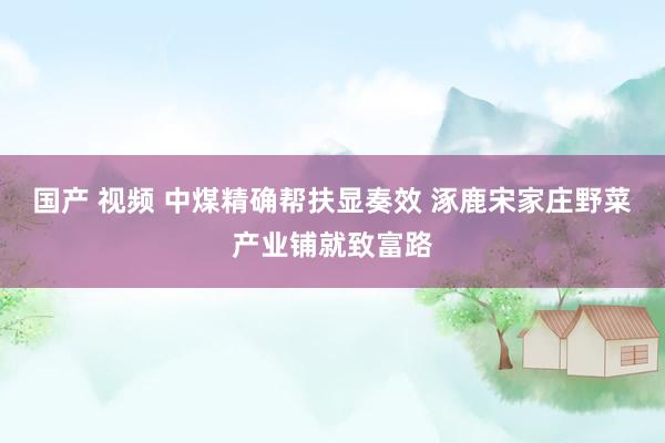 国产 视频 中煤精确帮扶显奏效 涿鹿宋家庄野菜产业铺就致富路