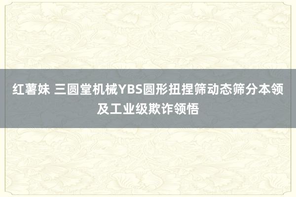 红薯妹 三圆堂机械YBS圆形扭捏筛动态筛分本领及工业级欺诈领悟