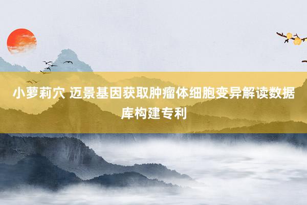 小萝莉穴 迈景基因获取肿瘤体细胞变异解读数据库构建专利