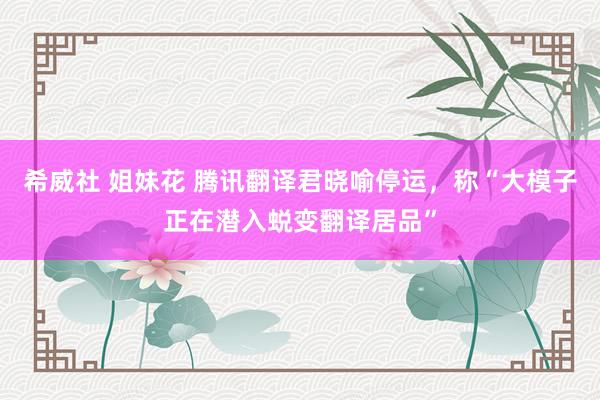 希威社 姐妹花 腾讯翻译君晓喻停运，称“大模子正在潜入蜕变翻译居品”